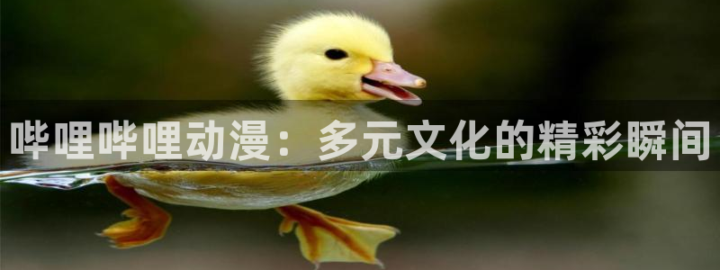 omofun高分动漫：哔哩哔哩动漫：多元文化的精彩瞬间配图