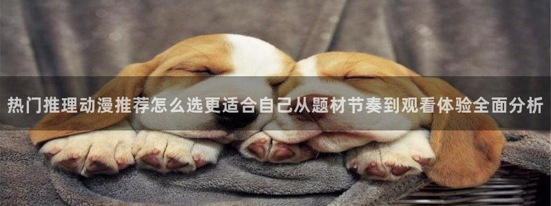 2026omofun动漫官网:热门推理动漫推荐怎么选更适合自己从题材节奏到观看体验全面分析配图