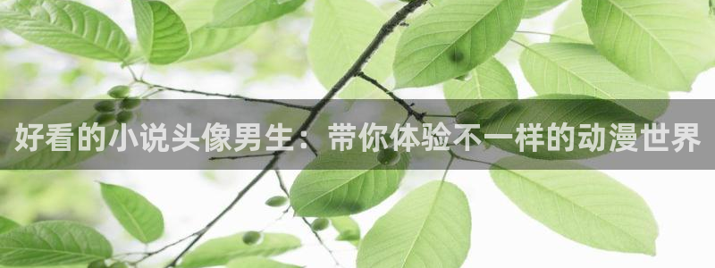 omofun动漫官网首页：好看的小说头像男生：带你体验不一样的动漫世界配图