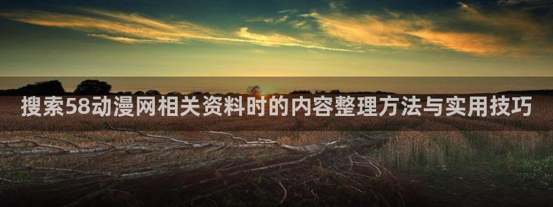 omofun手机网站:搜索58动漫网相关资料时的内容整理方法与实用技巧配图