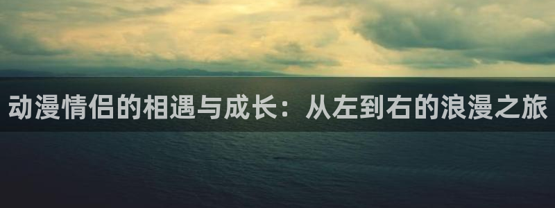 omofun在线动漫：动漫情侣的相遇与成长：从左到右的浪漫之旅配图