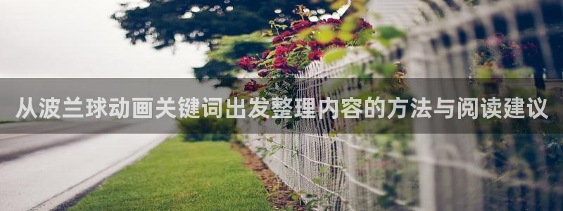 omofun免费动漫大全:从波兰球动画关键词出发整理内容的方法与阅读建议配图
