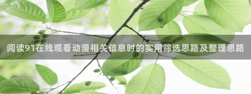 omofun在线动漫免费观看:阅读91在线观看动漫相关信息时的实用筛选思路及整理思路配图